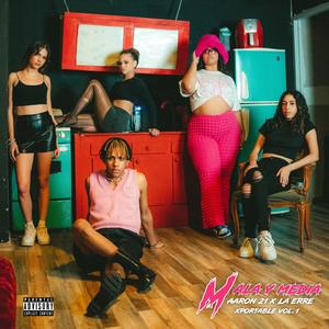 Mala y Media (feat. AARON 21) [Explicit]
