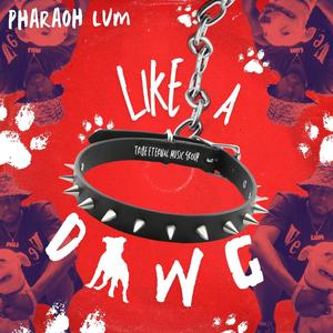 Like A Dawg (Explicit)