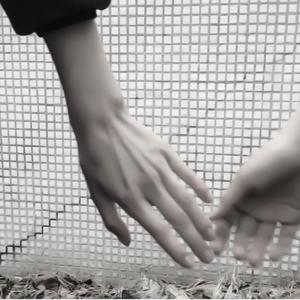 wishing (feat. giib)