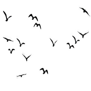 every lie i told myself (Explicit)