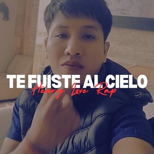 Te Fuiste Al Cielo