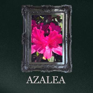 Azalea