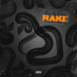 Rake (feat. M1H1 & SB Flighter)