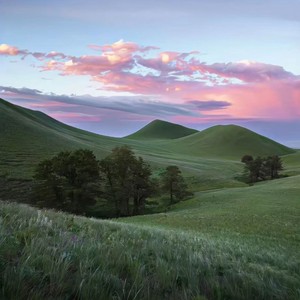 一吻-丽丽最好看