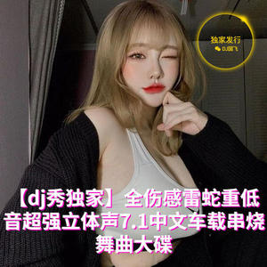 全伤感雷蛇重低音超强立体声7.1中文车载串烧舞曲大碟