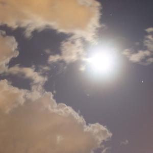 Estoy aqui!! >⩊< (feat. Arleen)