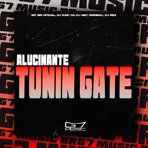 Alucinante Tunin Gate