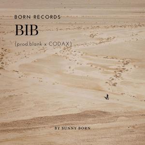 bib (feat. prod.blank  & CODAX) (Explicit)