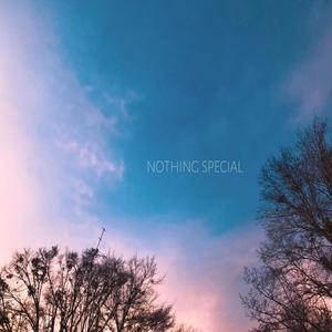 Nothing Special (feat. Arcade Jackson)