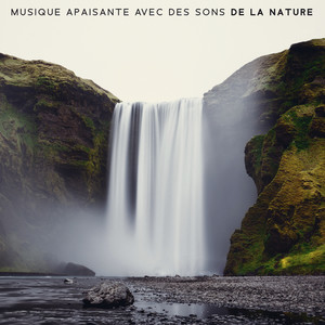 Musique Apaisante avec des Sons de la Nature - Des Sons de Guérison pour Vous Aider à Soulager le Stress, l'Anxiété et la Tension