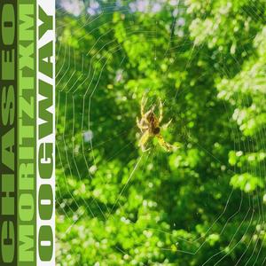 Dummkopf (feat. oogway & chaseo) (Explicit)