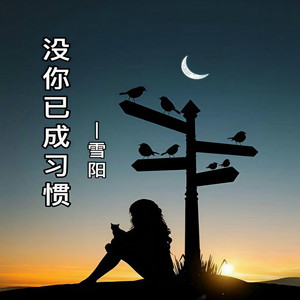 没你已成习惯