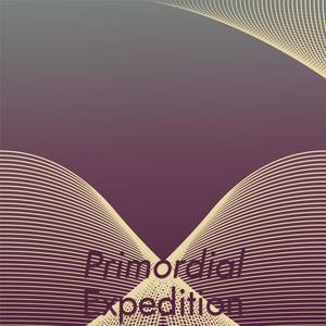 Primordial Expedition