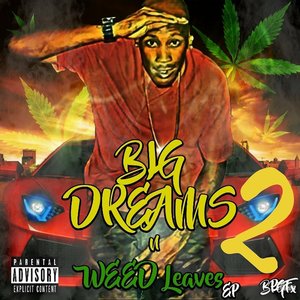 Big Dreams N Weed Leaves 2