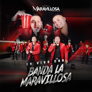 Popurrí De Rancheras: Paso a Paso / El Dinero / Vuela Paloma (En Vivo)