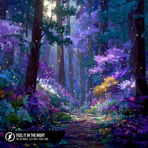 Feel It In The Night