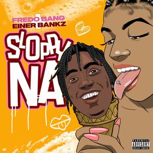Sloppy Na (Explicit)