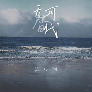 无可替代封面