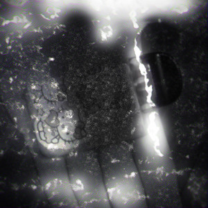 Четыре деда 2