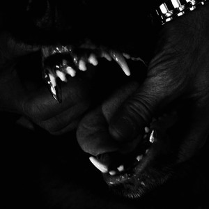 All Types (Explicit)