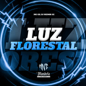 Luz Florestal (Explicit)