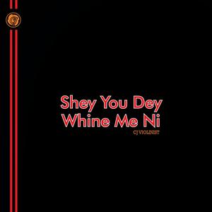 Shey You Dey Whine Me Ni