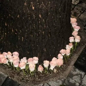 千千阕歌 (DJ旋律版)