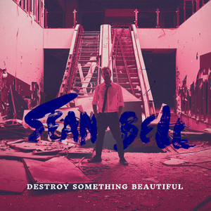 Destroy Something Beautiful (Explicit)