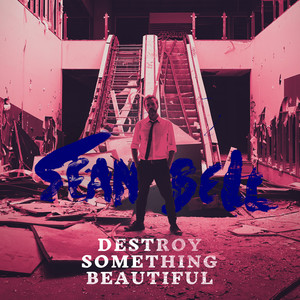 Destroy Something Beautiful (Explicit)