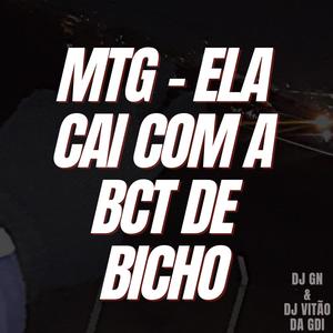 Ela Cai Com A Bct De Bicho (feat. Dj Gn Ofc)