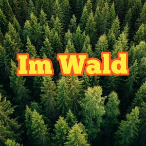 Im Wald (feat. Waffelbudenboy)