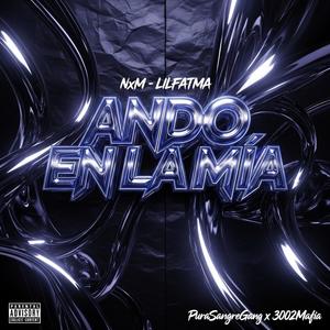 Ando En La Mía (feat. Lil Fatma)