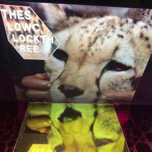 This Is Not A Good Time