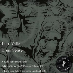 Drum Sense (Karlo Lord Valle (Acid Ambient Session)