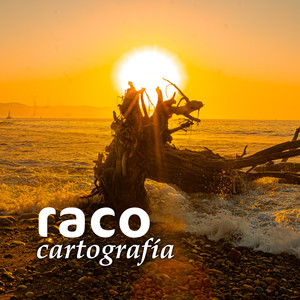 Cartografia