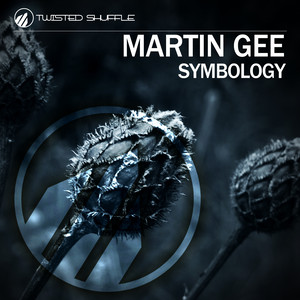 Symbology (Radio Edit)