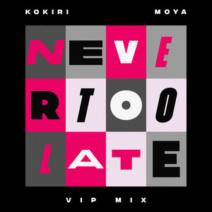 Never Too Late (VIP Mix)