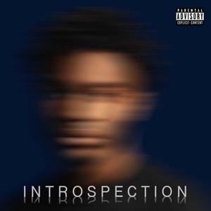 INTROSPECTION Mixtape vol 1 (Explicit)