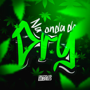 Na Onda do Dry (Explicit)