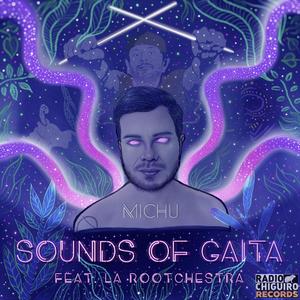 Sounds Of Gaita