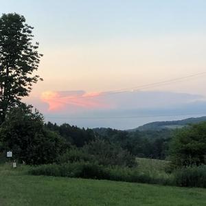 Belle Delphine Im Back (Explicit)