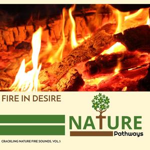 Fire in Desire - Crackling Nature Fire Sounds, Vol.5