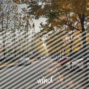 wind