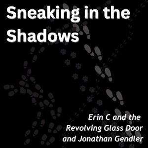 Sneaking in the Shadows