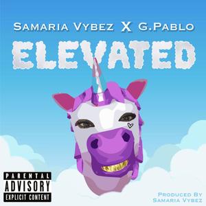 Elevated (feat. G. Pablo)