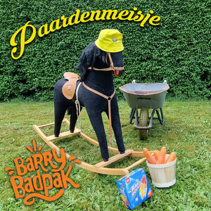 Paardenmeisje