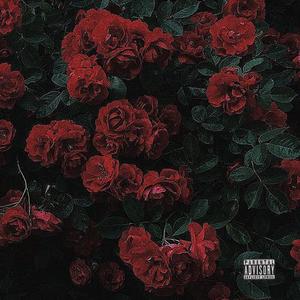 Rose (feat. Daams) [Sped Up] [Explicit]
