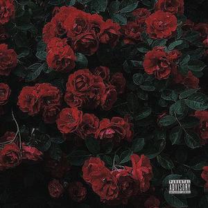 Rose (feat. Daams) (Sped Up) (Explicit)