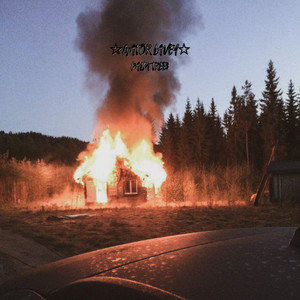 Palm Tree$ (Explicit)