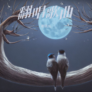 谁的心在午夜漂泊